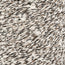 swatch__361 Woodland