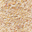 swatch__397 Golden Harvest