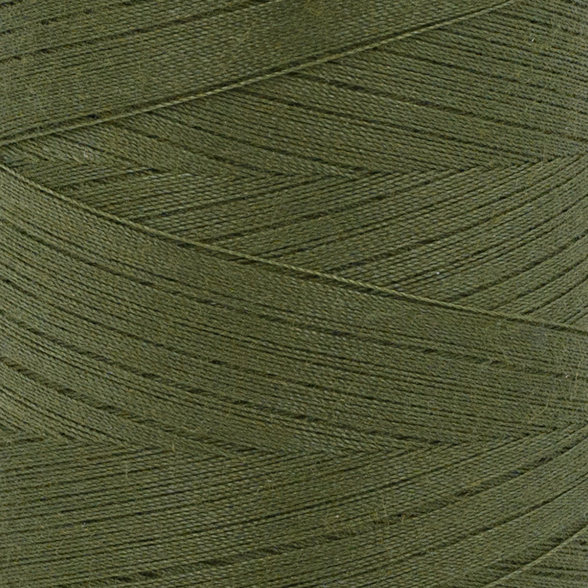 swatch__045B Drab Olive 