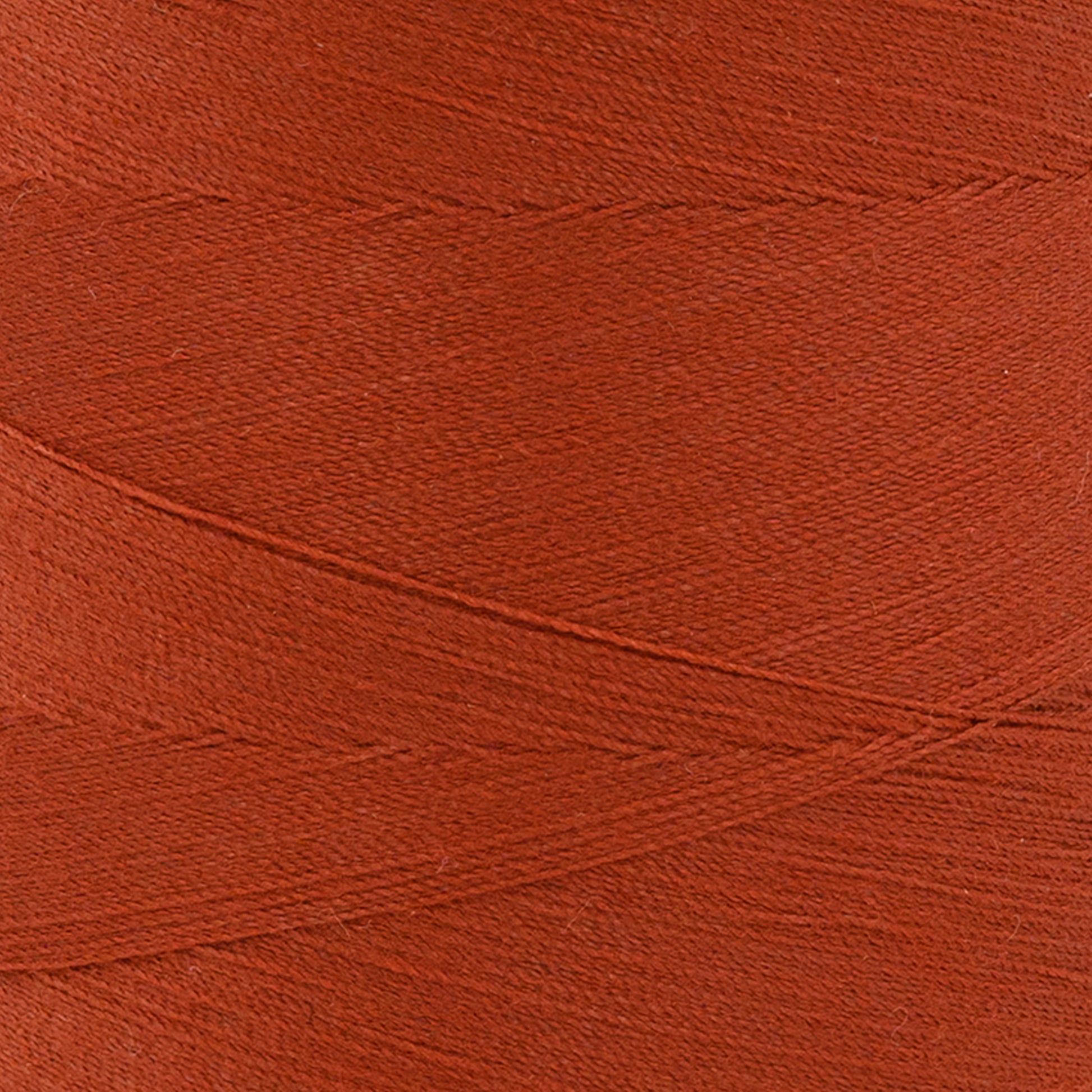 swatch__114B Fisherman