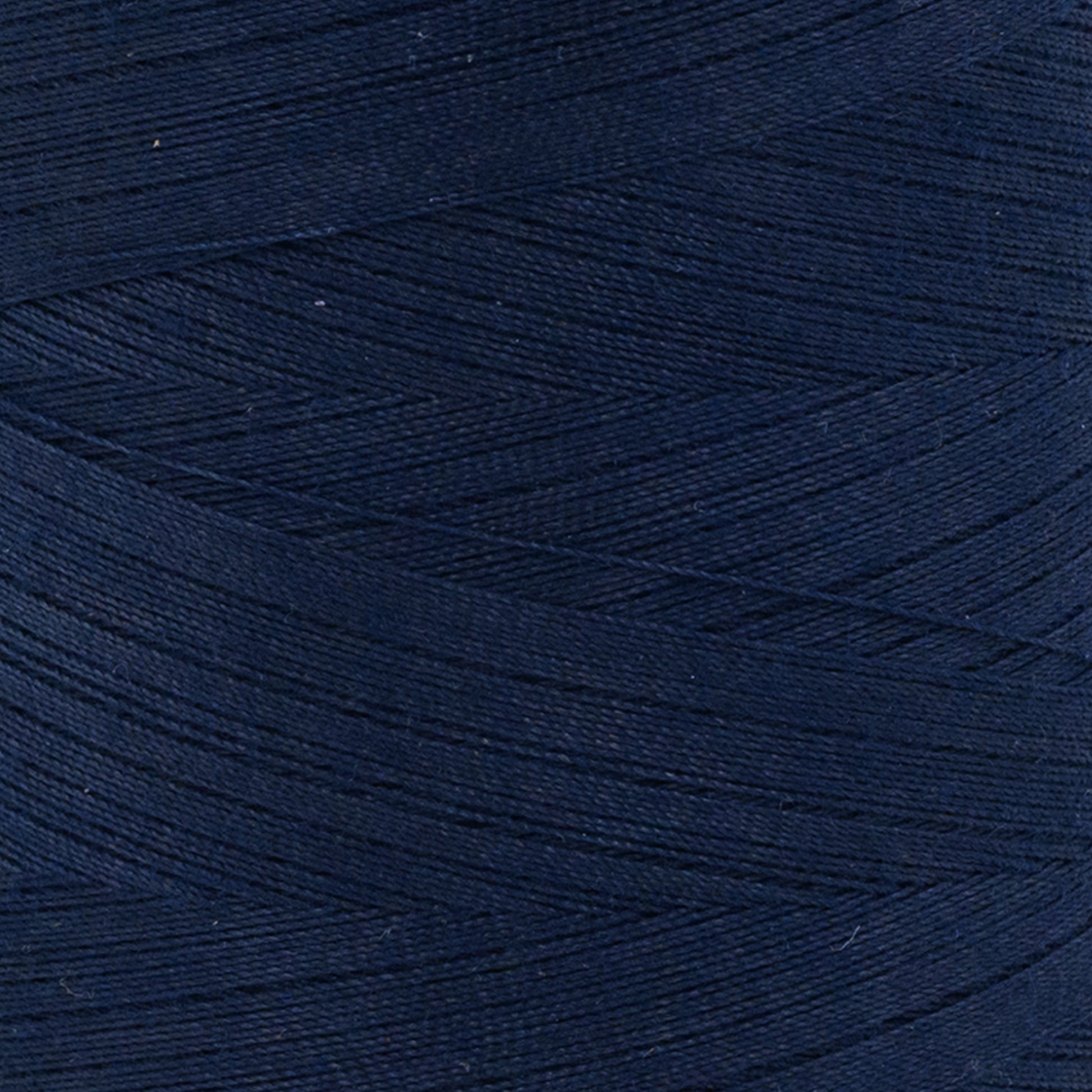 swatch__145 French Navy