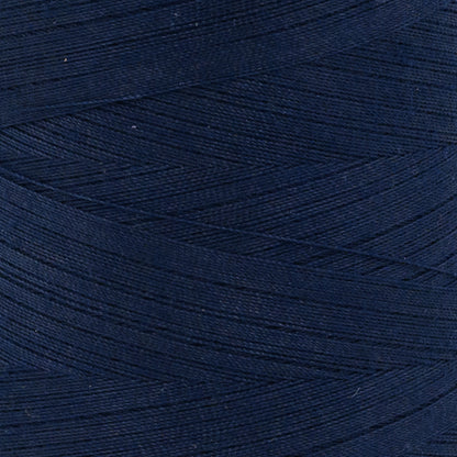 swatch__145 French Navy