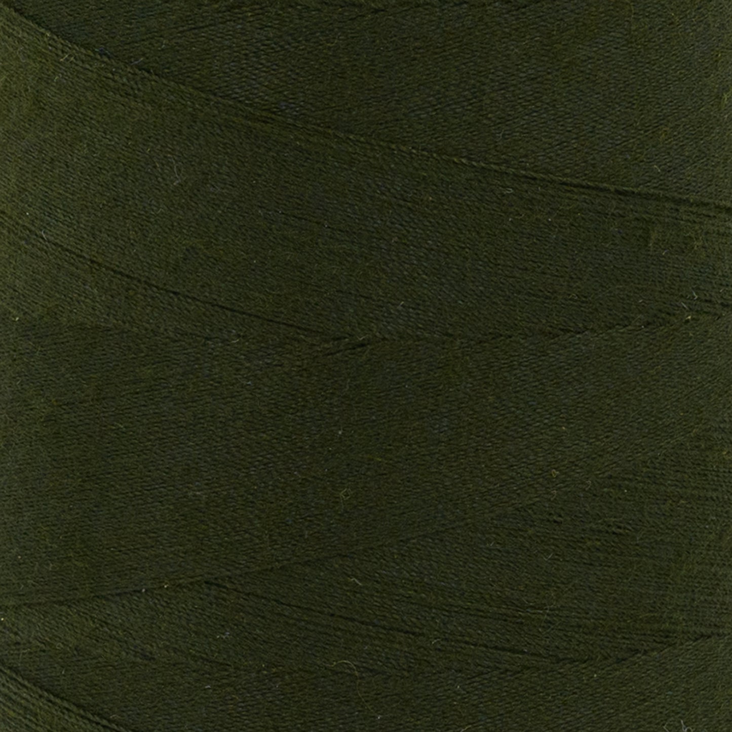 swatch__281 Forestry Green