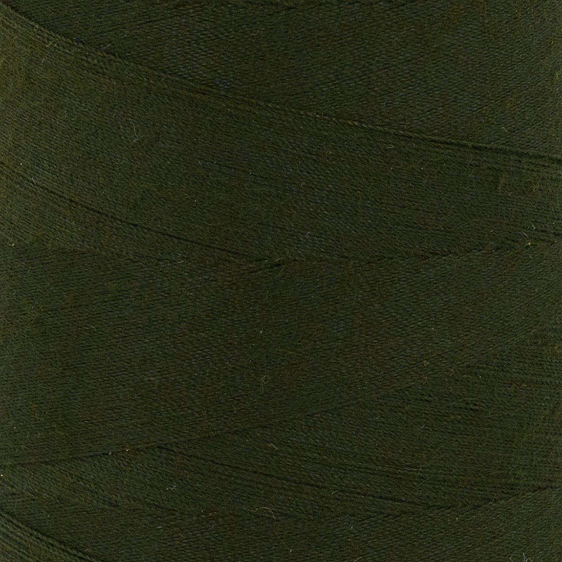 swatch__281 Forestry Green