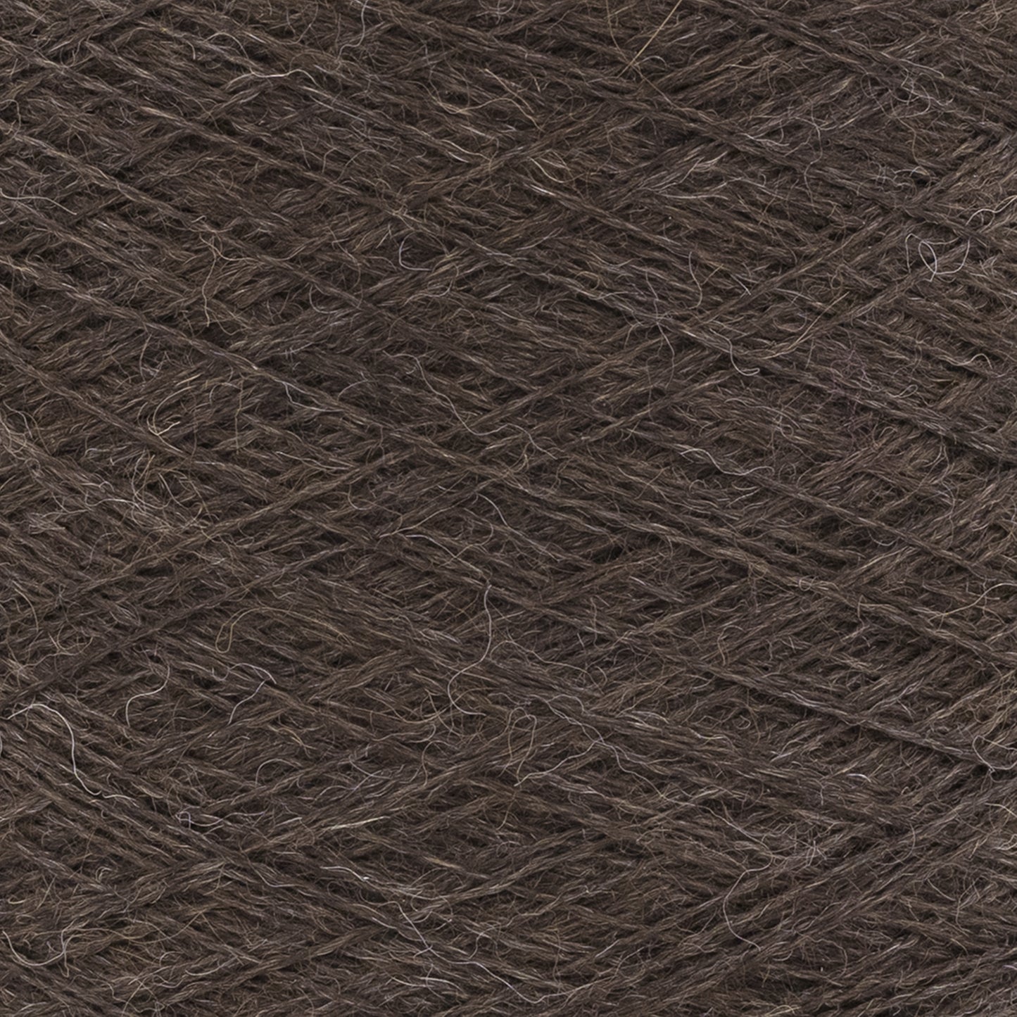 swatch__502 Chocolate