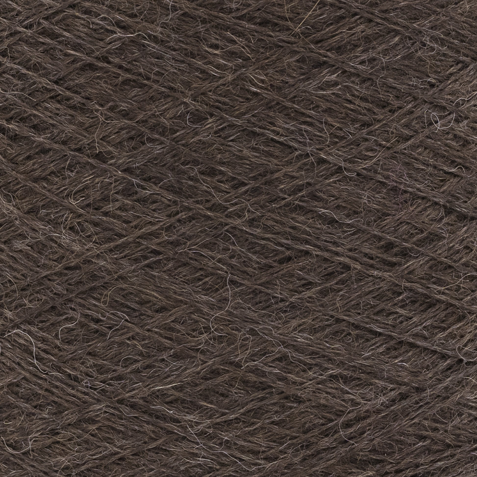 swatch__502 Chocolate